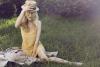 Cl�mence Po�sy